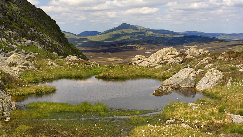 Dduallt pool and Arenig Fawr beyond