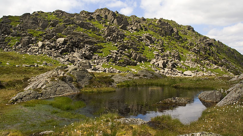 Dduallt pool and summit area