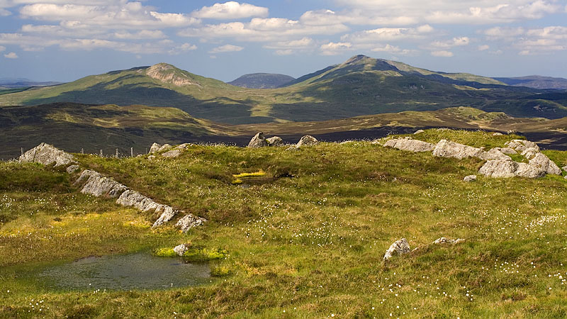Moel Llyfnant, Arenig Fawr & Arenig Fach from Dduallt