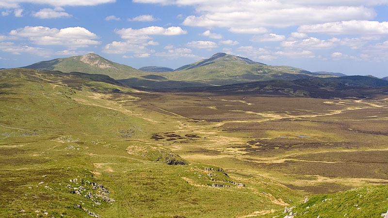 Waun y Griafolen from Dduallt north ridge