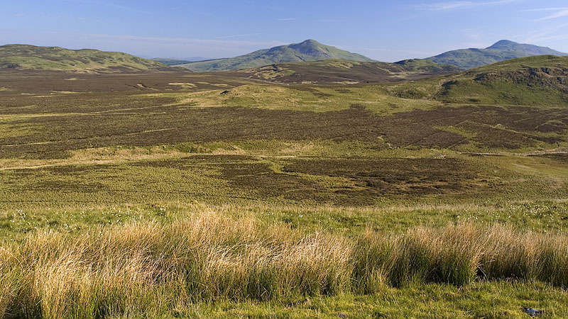 Waun y Griafolen from Cerrig yr Iwrch