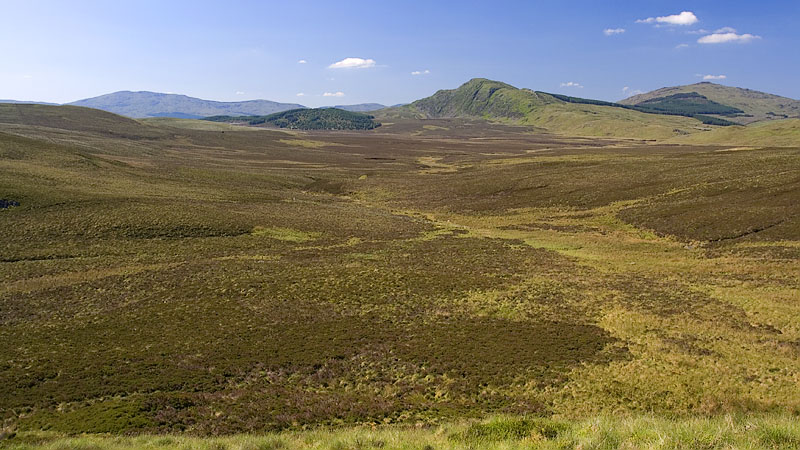 Looking back over Waun y Griafolen to Dduallt