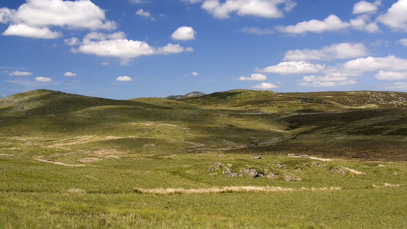 View NE to Mynydd Bryn-llech from Fridd yr Allt-lwyd bwlch