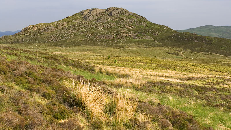 Early light on Rhobell-y-big