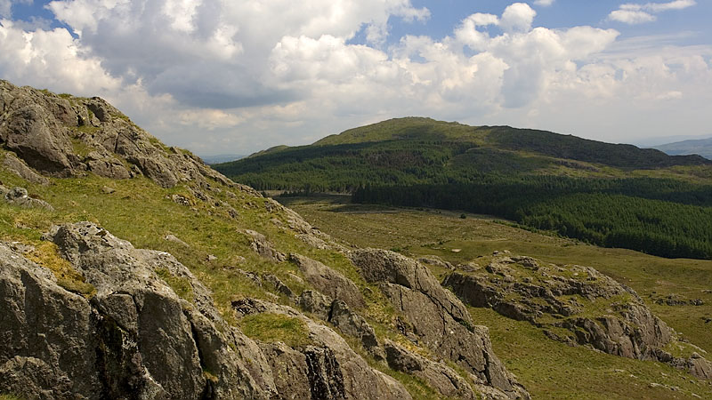Dduallt from Rhobell Fawr descent