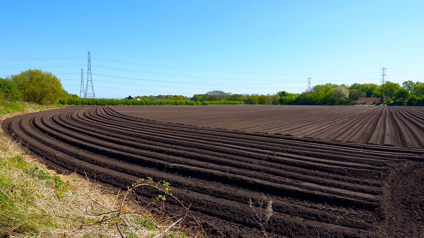 Furrowed field on Carrington Moss
