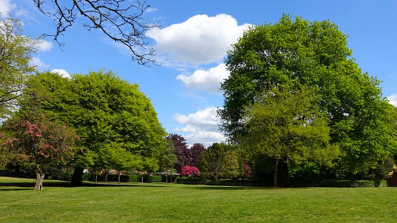 John Leigh Park