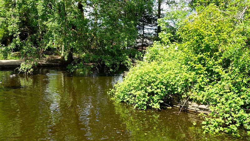 Stamford Park pool