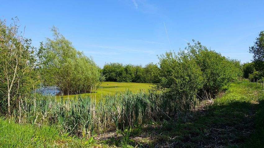 Woodcote pools Woodcote pools