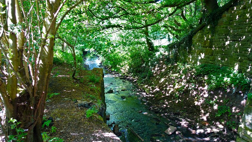 Sinderland Brook at Woodcote Sinderland Brook at Woodcote