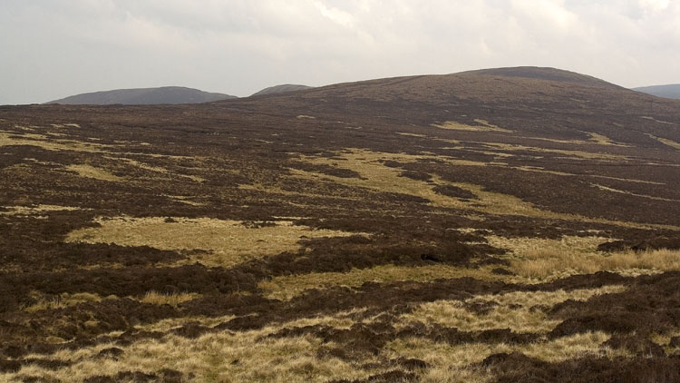 Foel y Geifr from Cefn Coch