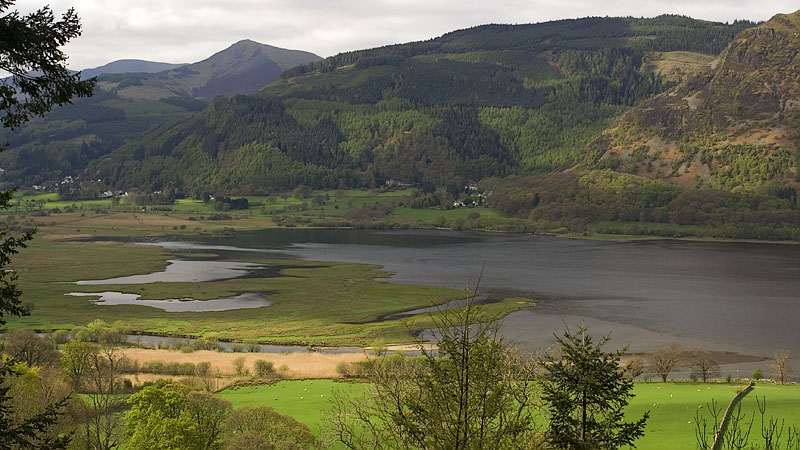 The Osprey Lower Viewpoint