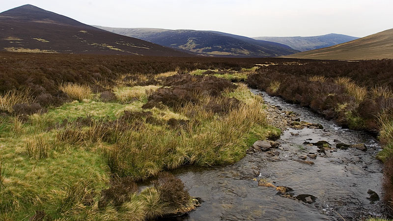 Salehow Beck & Great Calva