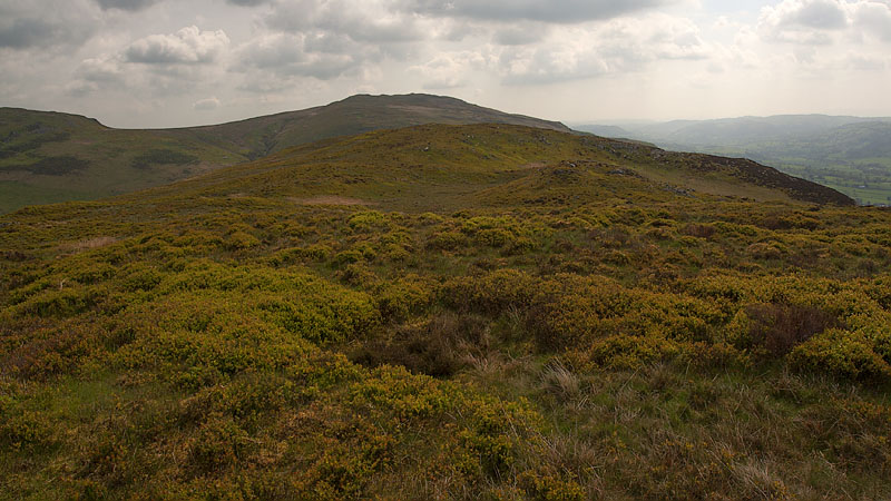 Summit plateau & lower east top of Craig Rhiwarth Summit plateau & lower east top of Craig Rhiwarth