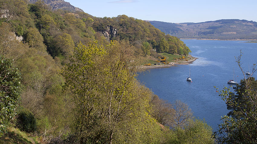 View over Loch Riddon from Creagan Dubh View over Loch Riddon from Creagan Dubh