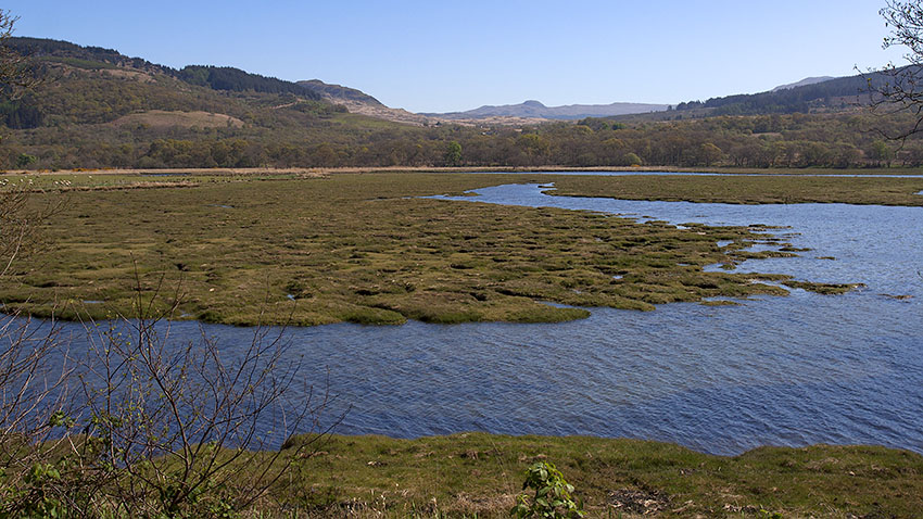Salt marsh at the head of Loch Riddon Salt marsh at the head of Loch Riddon