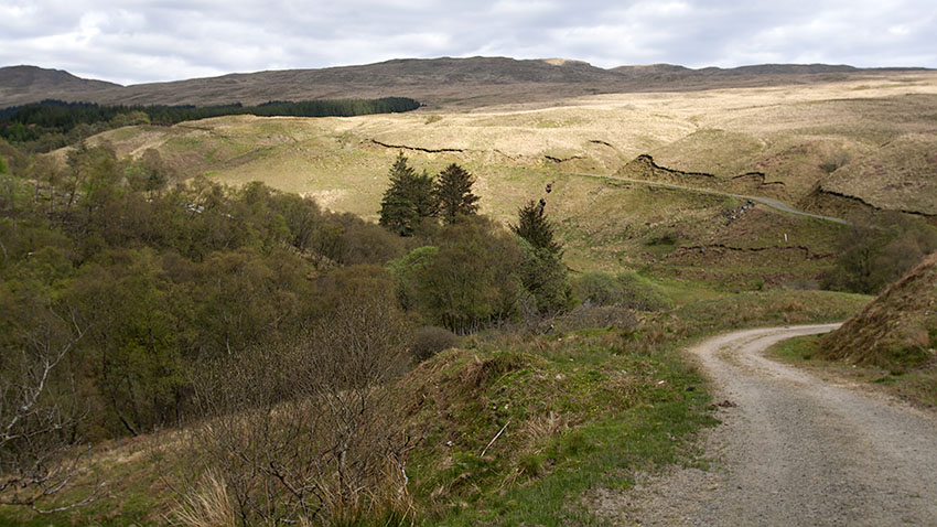 Track above Garvie Burn Track above Garvie Burn