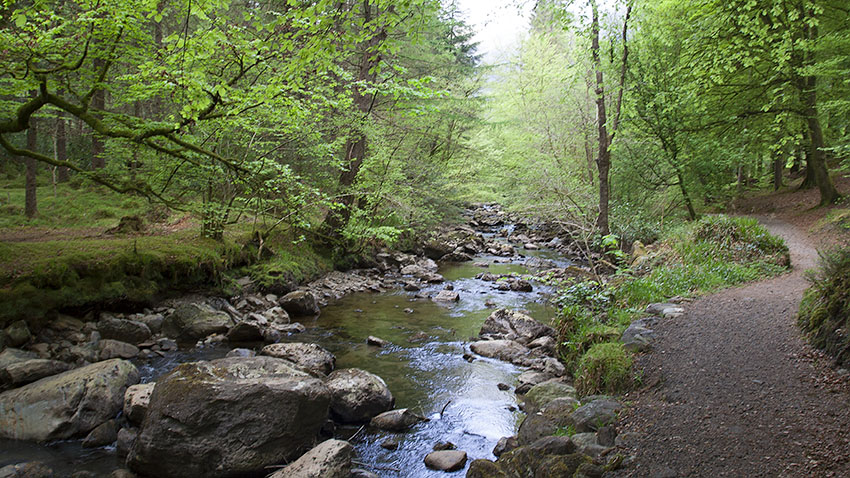 Riverside path at Ardgartan Riverside path at Ardgartan