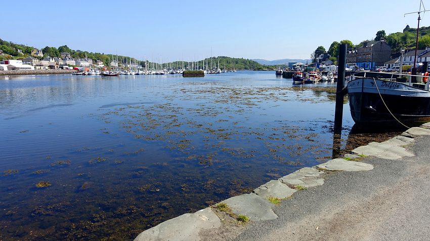 Tarbert harbour
