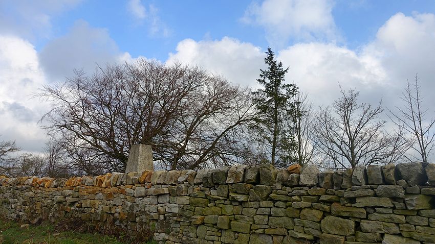 Trig point at Stanley Plantation