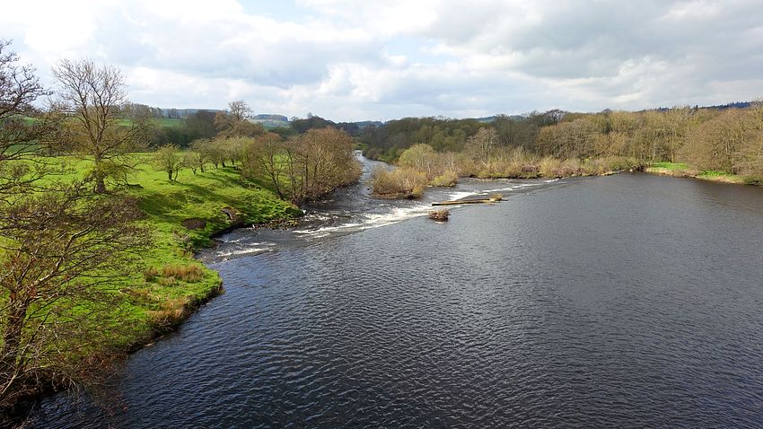 River North Tyne at Chollerford