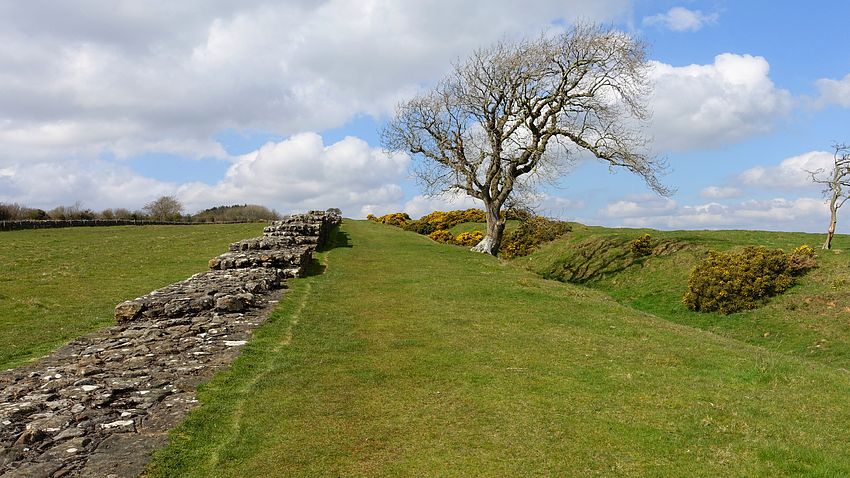 A typical section of low stonework