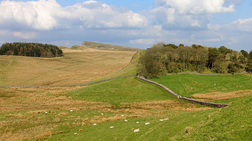 Wall near Cuddy's Crags