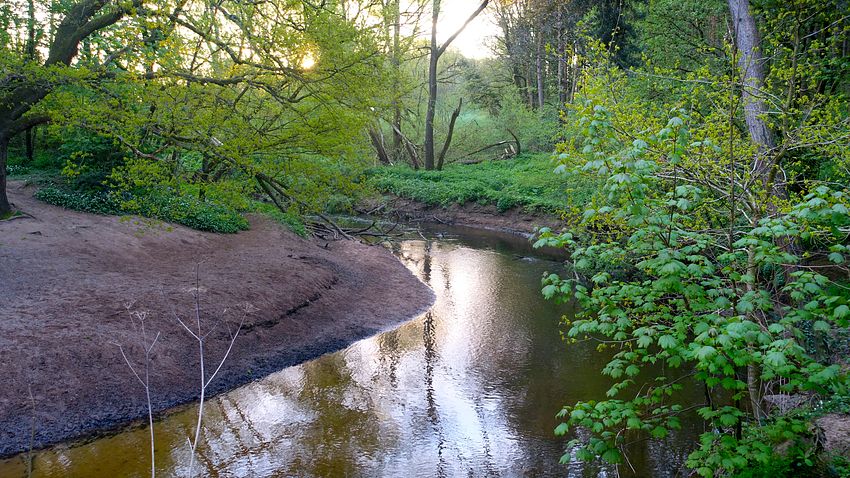 Dawn light near the Bollin pitch