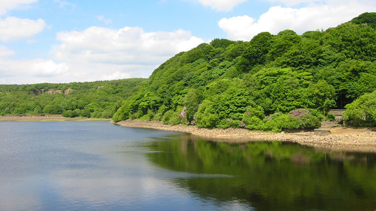 Anglezarke reservoir #4