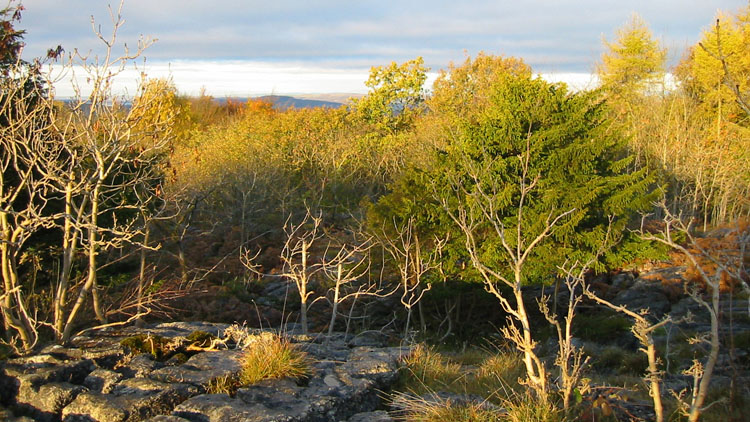 Hutton Roof Crags Hutton Roof Crags