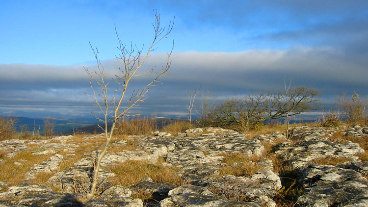 Hutton Roof Crags Hutton Roof Crags