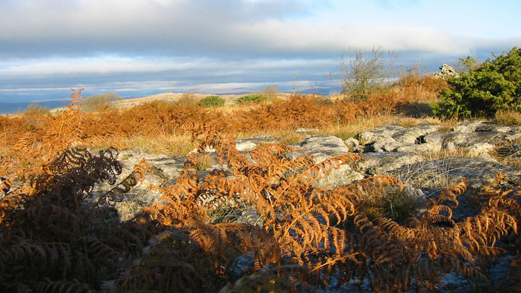 Summit of Hutton Roof Crags Summit of Hutton Roof Crags