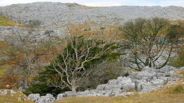 Approach to Farleton Knott Approach to Farleton Knott