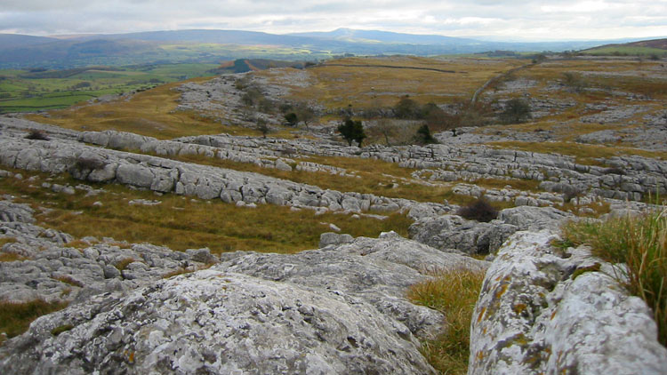 Limestone pavement on Farleton Knott Limestone pavement on Farleton Knott