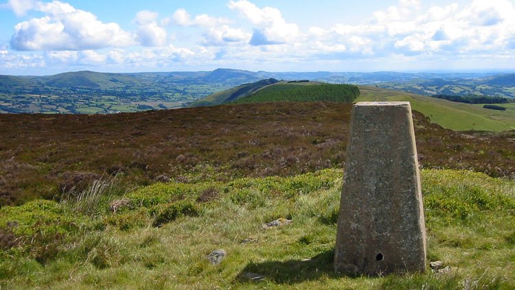 View East from Rhialgwm