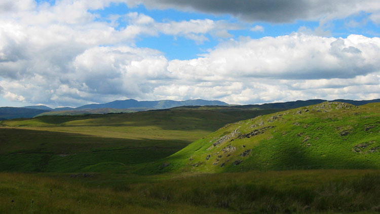 Ffridd Fach & The Arans