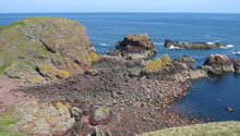 Shore near St. Abbs