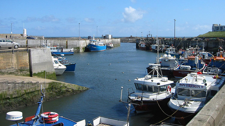 Seahouses harbour