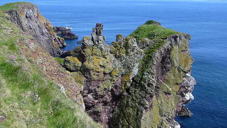 Cliffs North of St. Abbs