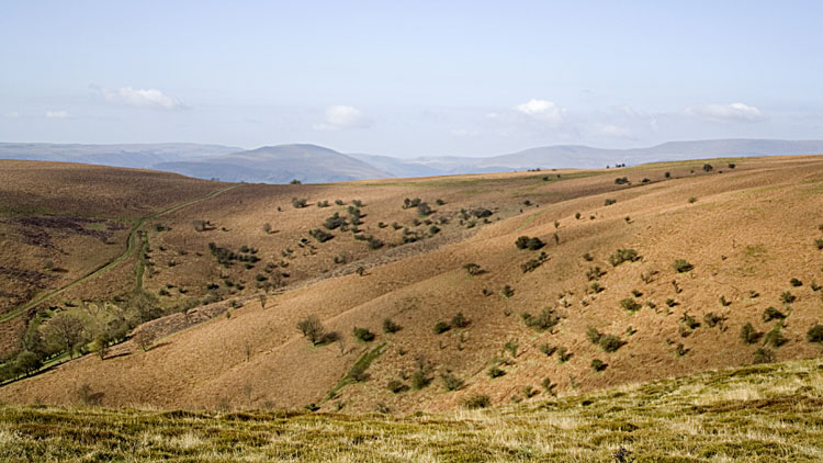 Orange bracken on Mynydd Llangorse