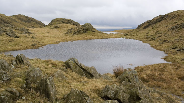 Tarn below Tarn Hill