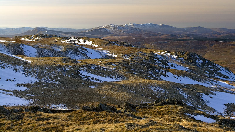 Early view to Dduallt, Rhobell Fawr & Cadair Idris