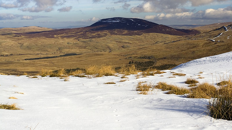 Arenig Fach from Moel Llyfnant
