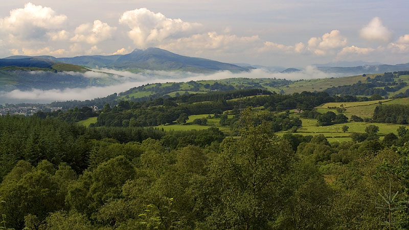 Valley mist clearing above Llyn Tegid