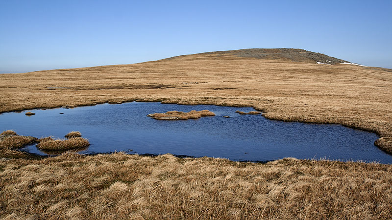 Foel Grach from Gwaun y Garnedd