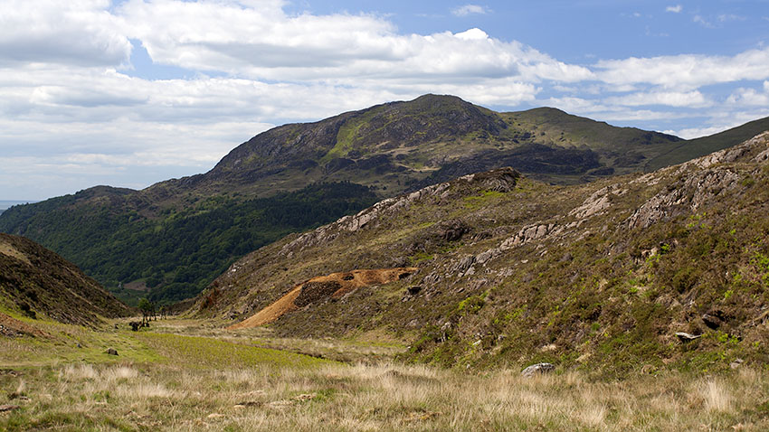 Upper Cwm Bychan & Moel Ddu