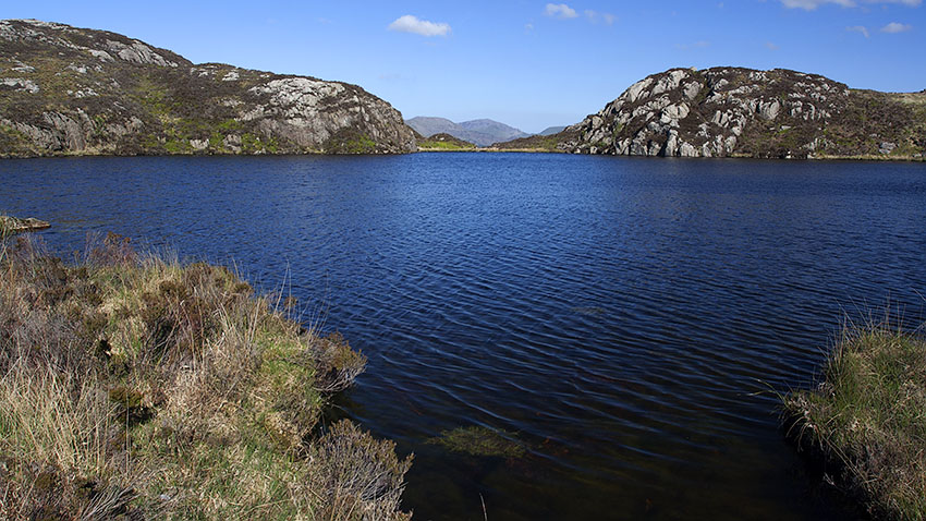 Early light on Llyn yr Arddu