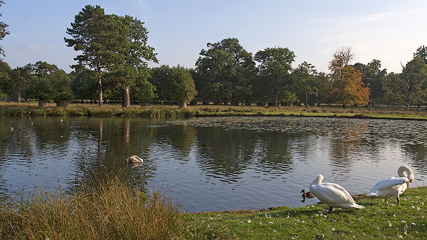 Smithy Pool at Dunham Massey