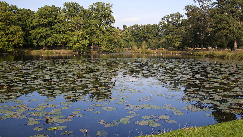 Smithy Pool at Dunham Massey