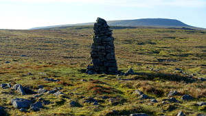 Currick on Green Fell